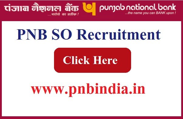 PNB SO Recruitment 2023 Apply Online For 240 Post www.pnbindia.in