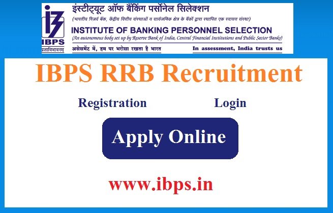 IBPS RRB Recruitment 2023 Apply For 8611 Post Registration,Login www.ibps.in