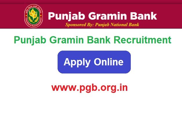Punjab Gramin Bank Recruitment 2023 Apply For 955 Post www.pgb.org.in