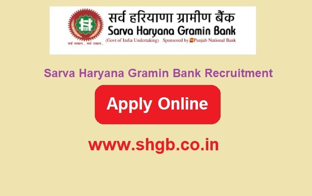 Sarva Haryana Gramin Bank Recruitment 2024 Apply For 135 Post www.shgb.co.in