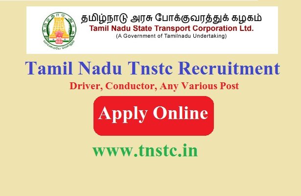 TNSTC Recruitment 2024 Apply Online For 807 Post  www.tnstc.in