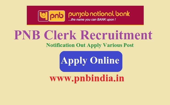 PNB Clerk Recruitment 2023 Notification Apply Online For 310 Post @www.pnbindia.in